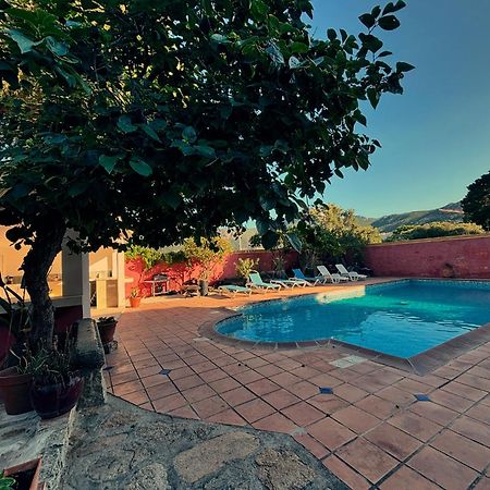 Residence Antonia Appartements Avec Piscine Commune - Centre Ville Calvi 칼비 외부 사진
