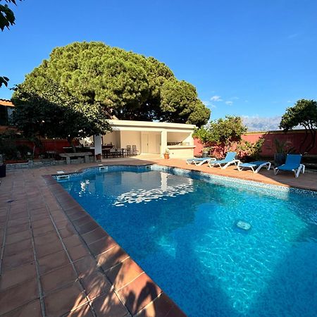 Residence Antonia Appartements Avec Piscine Commune - Centre Ville Calvi 칼비 외부 사진