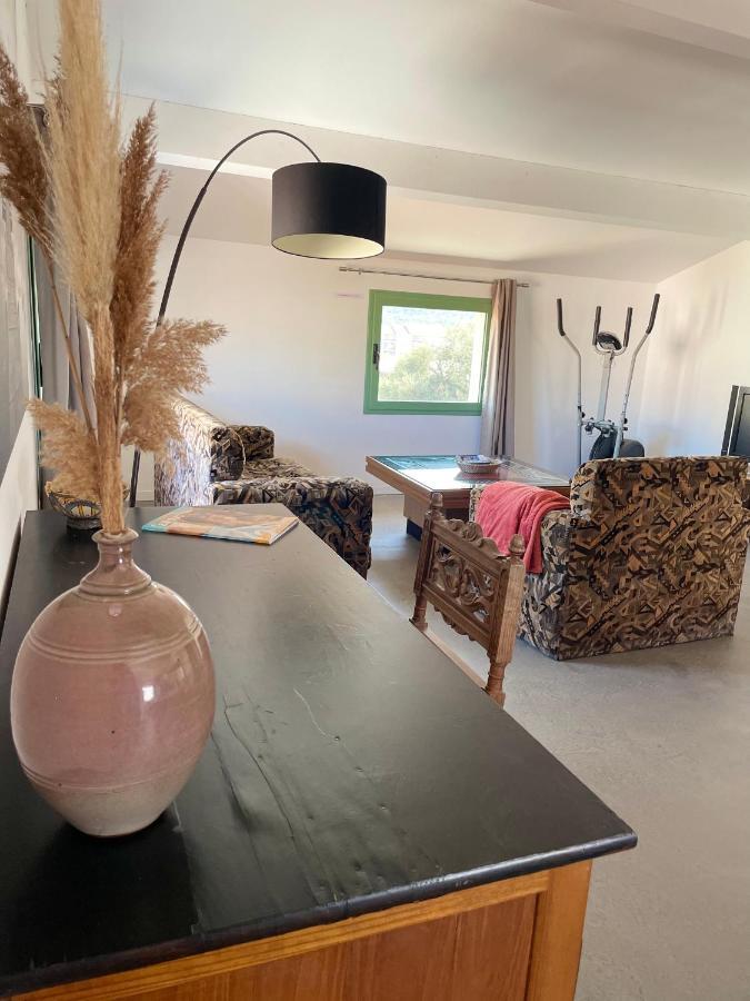 Residence Antonia Appartements Avec Piscine Commune - Centre Ville Calvi 칼비 외부 사진