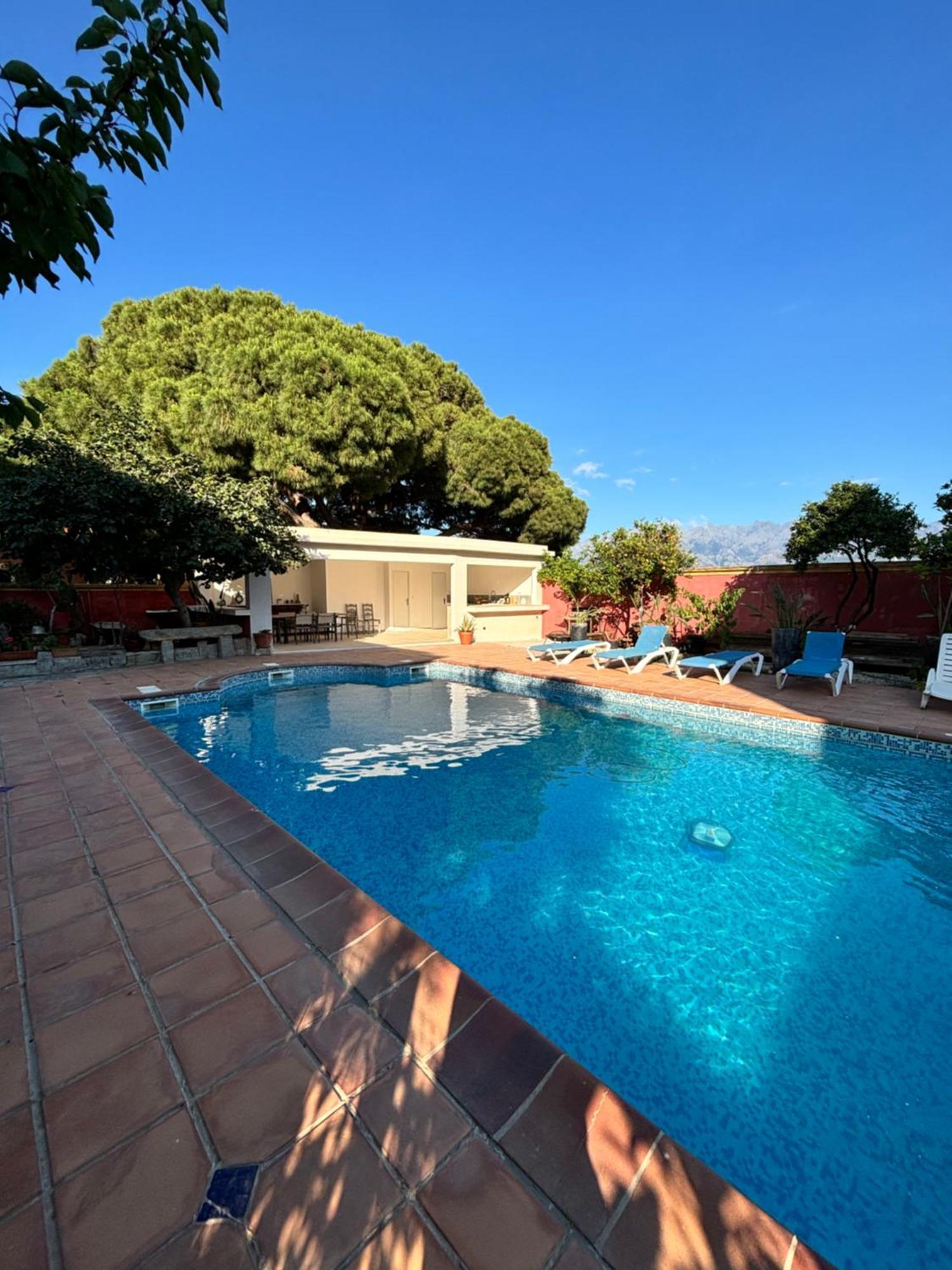 Residence Antonia Appartements Avec Piscine Commune - Centre Ville Calvi 칼비 외부 사진