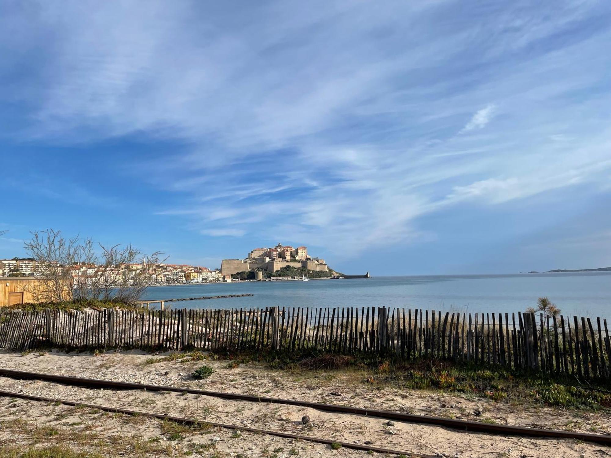 Residence Antonia Appartements Avec Piscine Commune - Centre Ville Calvi 칼비 외부 사진