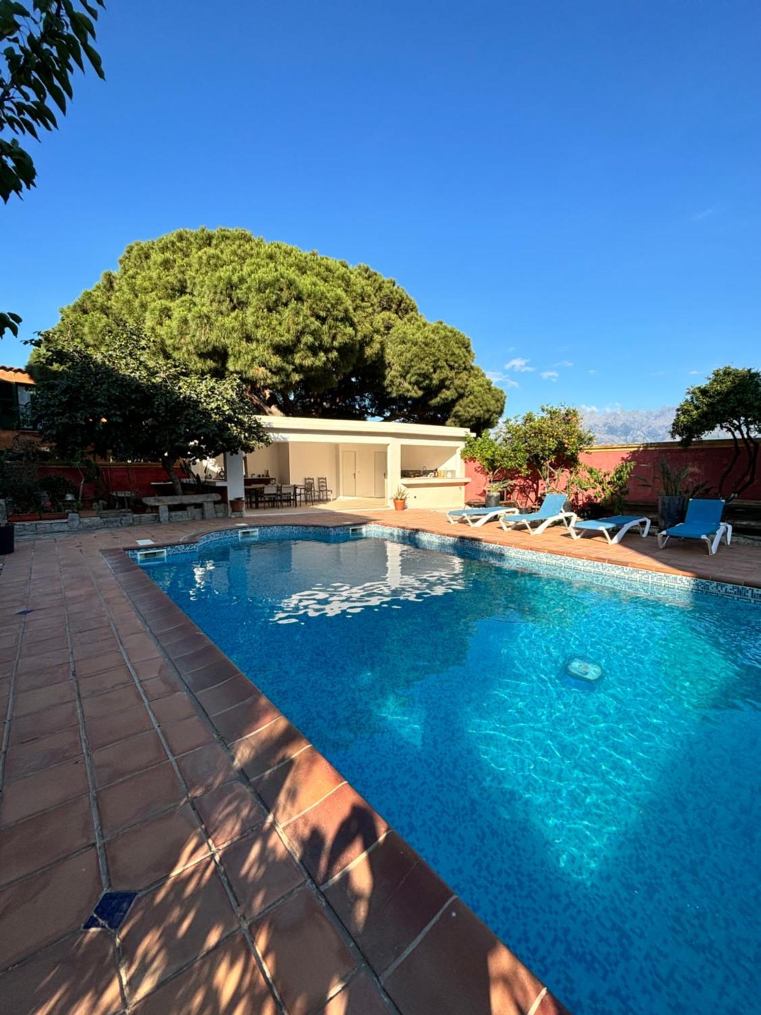 Residence Antonia Appartements Avec Piscine Commune - Centre Ville Calvi 칼비 외부 사진